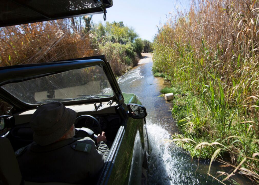 #50. Fish and game wardens
